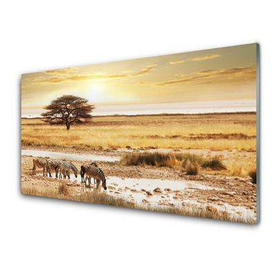 Konyhai panel Zebra safari landscape