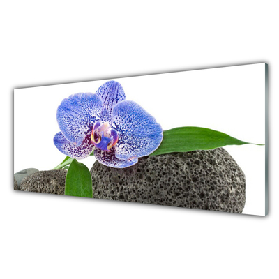 Konyhai üveg fali panel Természet virág növény