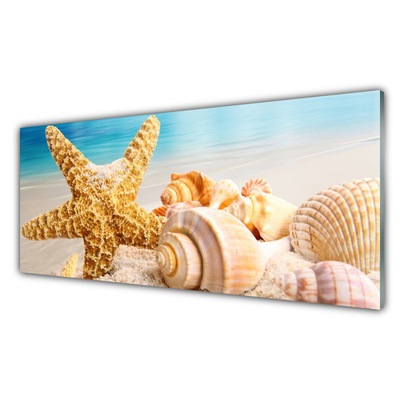 Konyhai üveg fali panel Starfish shell art