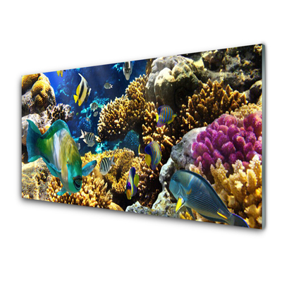 Konyhai dekor panel Barrier reef nature