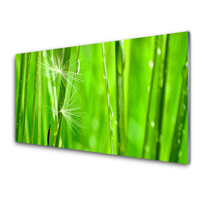 Konyhai falburkoló panel Grass nature plant