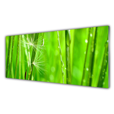 Konyhai falburkoló panel Grass nature plant