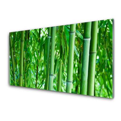 Konyhai hátfal panel Bamboo stem plant