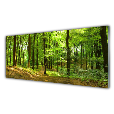 Konyhai falvédő panel Forest path természet