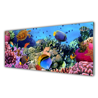 Konyhai falburkoló panel Barrier reef nature