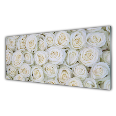 Konyhai fali panel Rózsa virágok plant