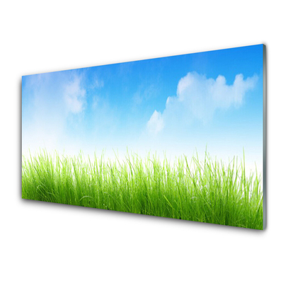 Konyhai hátfal panel Grass nature plant