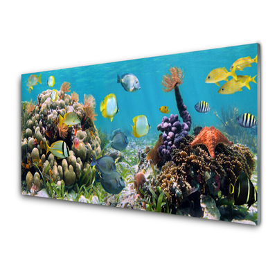 Konyhai falvédő panel Barrier reef nature