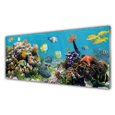 Konyhai falvédő panel Barrier reef nature