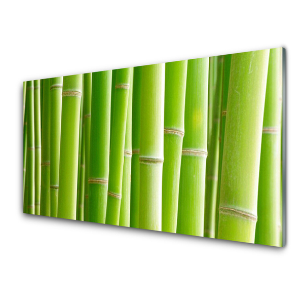 Konyhai üveg fali panel Bamboo stem flower plant