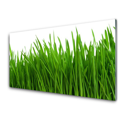 Konyhai dekor panel Grass nature plant