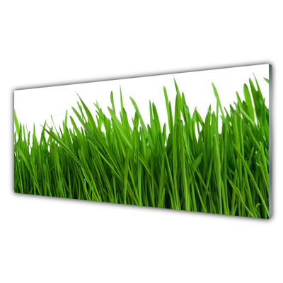 Konyhai dekor panel Grass nature plant