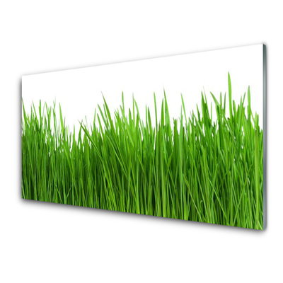 Konyhai falburkoló panel Grass nature plant