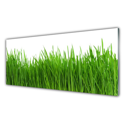 Konyhai falburkoló panel Grass nature plant