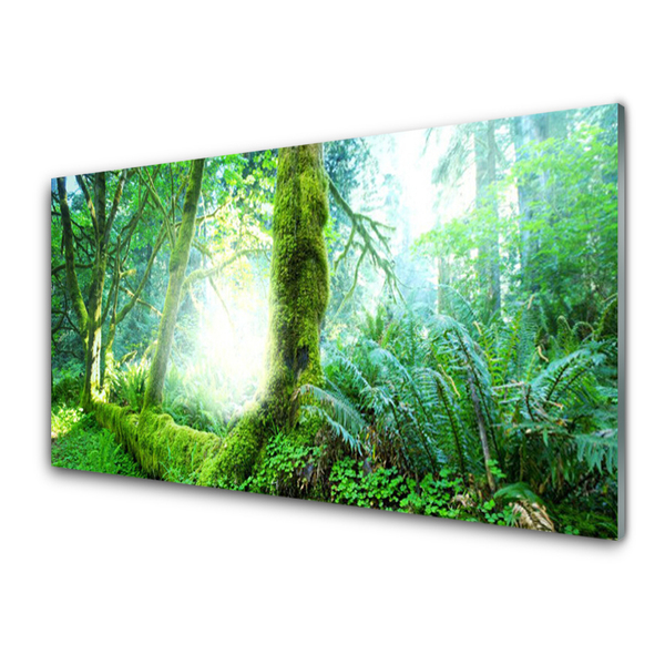 Konyhai üveg fali panel Forest moss természet