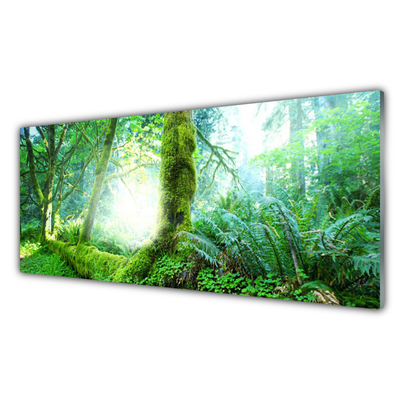 Konyhai üveg fali panel Forest moss természet