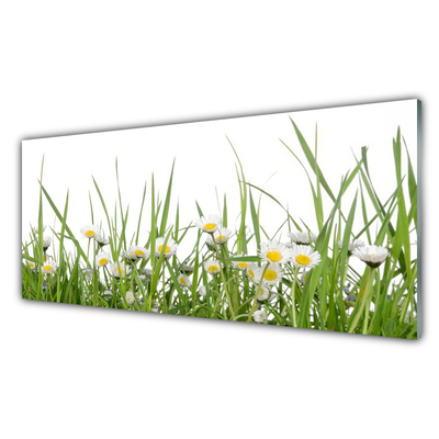 Konyhai falvédő panel Grass nature daisies