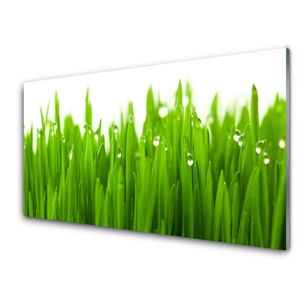 Konyhai falburkoló panel Grass nature plant