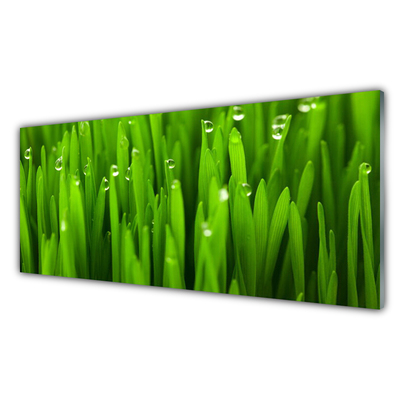 Konyhai üveg panel Grass nature plant