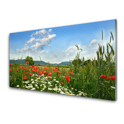 Konyhai falvédő panel Mezei virágok természet plant