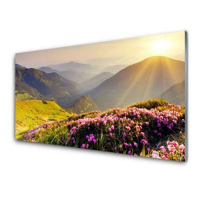 Konyhai üveg fali panel Mountain meadow landscape