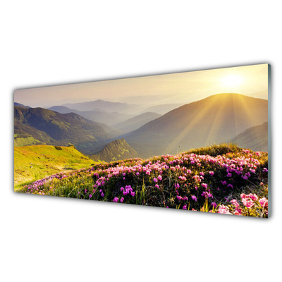 Konyhai üveg fali panel Mountain meadow landscape