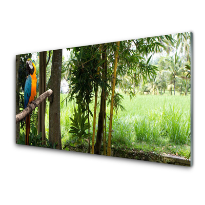 Konyhai falvédő panel Parrot fa természet