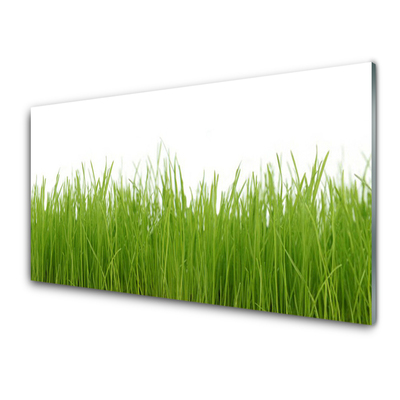 Konyhai hátfal panel Grass nature plant