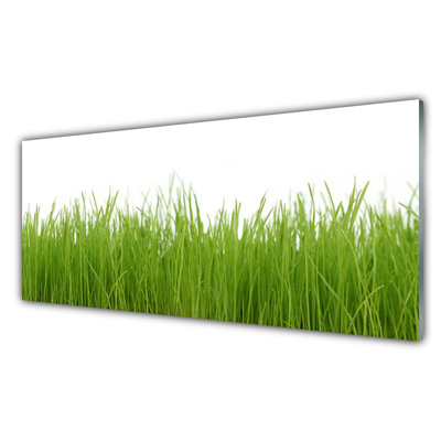 Konyhai hátfal panel Grass nature plant