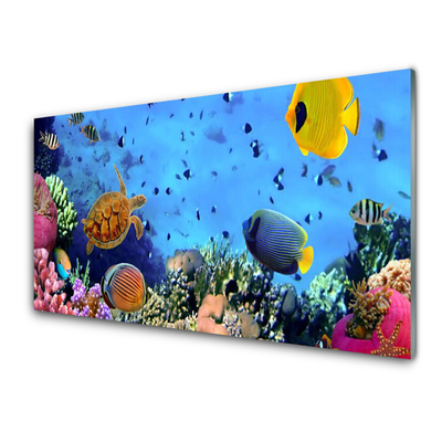 Konyhai dekor panel Barrier reef nature