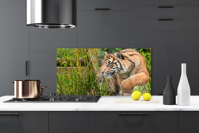 Konyhai üveg fali panel Tigris állatok