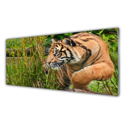 Konyhai üveg fali panel Tigris állatok