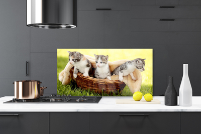 Konyhai panel Macskák állatok