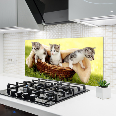 Konyhai panel Macskák állatok