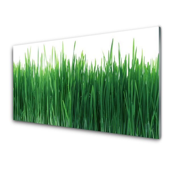 Konyhai dekor panel Grass nature plant