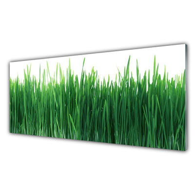 Konyhai dekor panel Grass nature plant