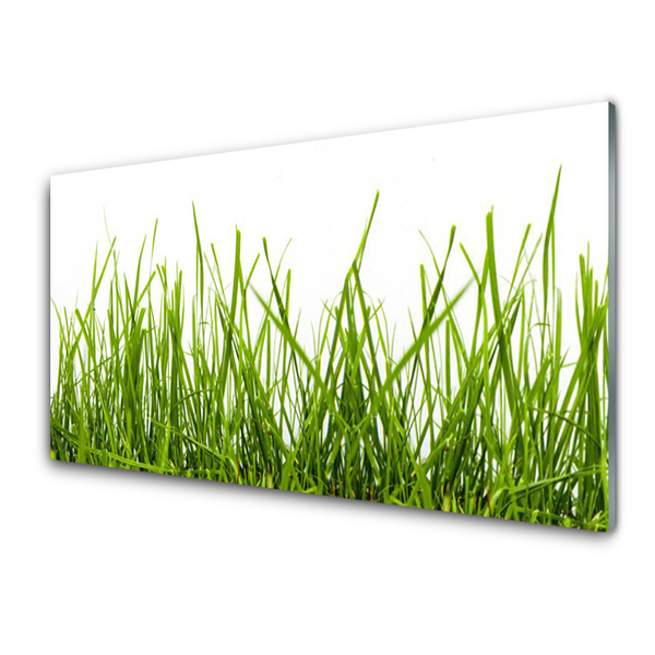 Konyhai panel Grass nature plant