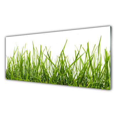 Konyhai panel Grass nature plant