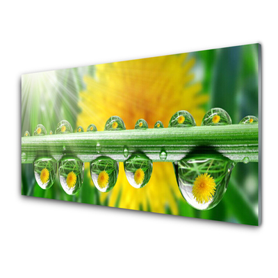 Konyhai falburkoló panel Stem dew drops plant