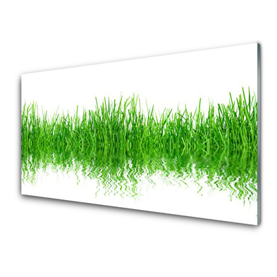 Konyhai hátfal panel Grass nature plant