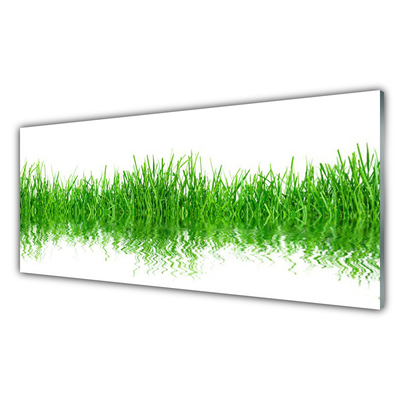 Konyhai hátfal panel Grass nature plant