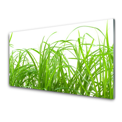 Konyhai panel Grass nature plant