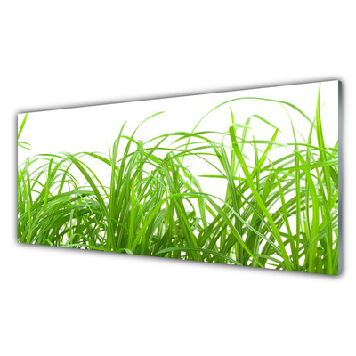 Konyhai panel Grass nature plant