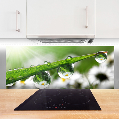 Konyhai dekor panel Grass nature dew drops