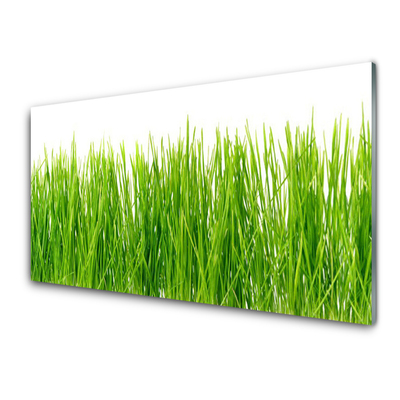 Konyhai fali panel Grass nature plant