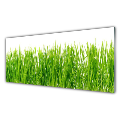 Konyhai fali panel Grass nature plant