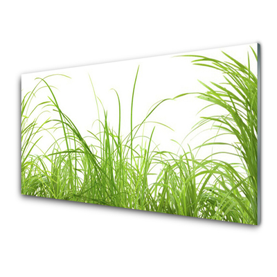 Konyhai dekor panel Grass nature plant