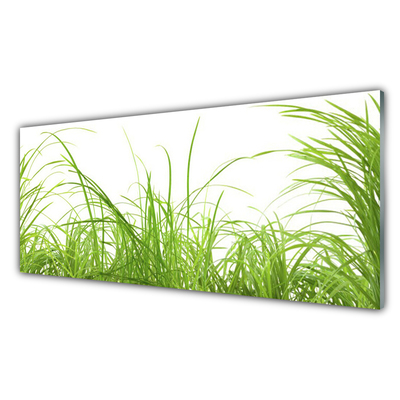 Konyhai dekor panel Grass nature plant