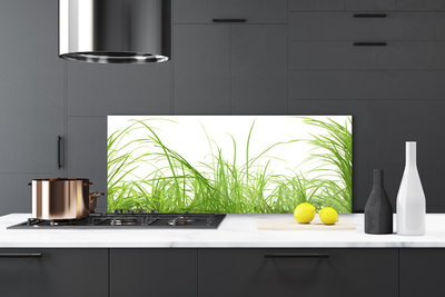 Konyhai dekor panel Grass nature plant