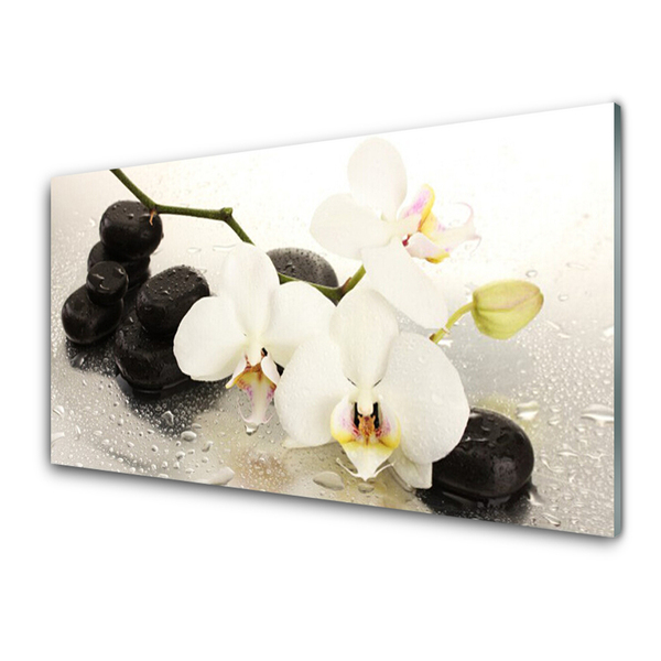 Konyhai falvédő panel Szép virág orchidea